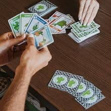 What's The Point? The Cactus Card Game - A Fun and Strategic Game for Families, Perfect for Family Play Night, Easy to Learn, Portable for Travel, and Ideal for Players of All Ages