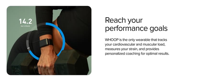 WHOOP 5.0/MG Activity Tracker - 12 Month Membership - Health and Fitness Wearable – 24/7 Activity and Sleep Tracker, Personalized Coaching, Menstrual Cycle Insights – 14+ Days Battery Life