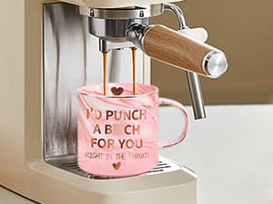 MEATER Plus: Smart Bluetooth Wireless Meat Thermometer Digital | BBQ, Grill, Oven, Smoker, Air Fryer, Kitchen | Perfect for Steak, Chicken, Turkey, and More | Delicious Recipes in App