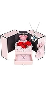 ADDWel Birthday Gifts for Mom from Daughter and Son, Unique Mother Birthday Gift Idea, Preserved Real Roses with I Love You in 100 Languages Mom Necklace, Cool Present to Mother Mama