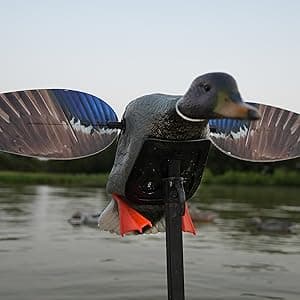 MOJO Outdoors - Premium Waterfowl and Duck Hunting Decoys