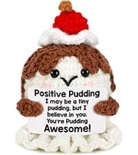 Positive Crochet Taco Christmas Birthday Gifts for Women Men Self Care Son Back to School Mom Dad Daughter Sister Friend Coworkers Relaxation Gift Desk Home Fall Decor Emotional Inspirational Support