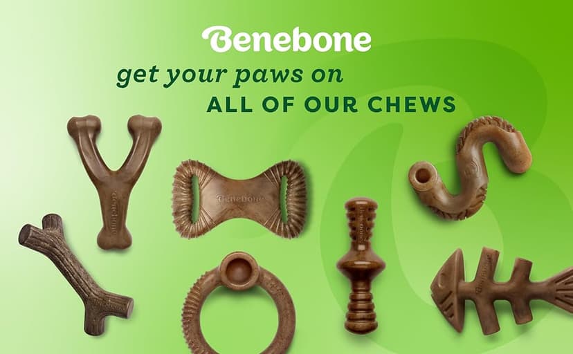 Benebone Medium 4-Pack Dog Chew Toys for Aggressive Chewers, Made in USA, 60lbs and Under