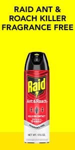 Raid Flea Killer Carpet & Room Spray, Kills hatching eggs for up to 4 months, 16 Oz