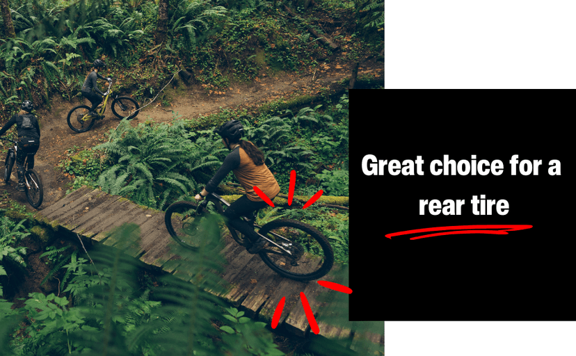 WTB Trail Boss Mountain Bike Tire (26”/27.5”/29") 30tpi Wire Bead - Aggressive Tread & Superior Grip for Trail Rides