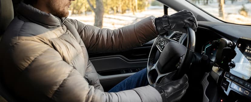 HANDLANDY Genuine Sheepskin Leather Gloves for Men Winter Driving Warm Thermal Wrist Gloves Fleece Lining for Cold Weather