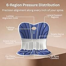 Ergonomic Lumbar Support Cushion for Back Support & Pain Relief | 6-Zone Pressure Distribution Posture Corrector for Office Chair, Car Seat, Desk, etc. | Great as a Gift (Gray)