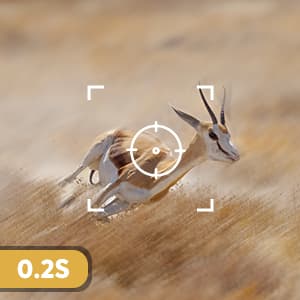 Trail Camera 3 Pack 36MP 1920P HD Game Camera with SD Cards, 0.2s Trigger Time Infrared Night Vision Motion Activated, IP66 Waterproof 2.0''LCD Wildlife Camera for Monitoring