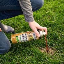 Spectracide Carpenter Bee And Ground-Nesting Yellowjacket Killer Foaming Aerosol 16 Ounces, Expands To Where Insects Live, Yellow