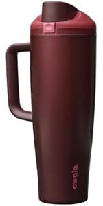 Owala FreeSip Stainless Steel Water Bottle 24 oz Black Cherry B0FJN3BTPV
