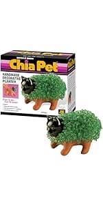 Chia Pet Hello Kitty with Seed Pack, Decorative Pottery Planter, Easy to Do and Fun to Grow, Novelty Gift, Perfect for Any Occasion
