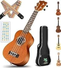 CAHAYA Acoustic Electric Guitar Kit - 41” Carbon Fiber Adult Beginner Set with Bag and Strap Built-In Pickup Rich Resonance & Warm Tone for Performance Ready, Pearl Blue-Purple Finish