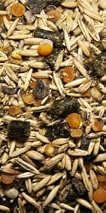 New Country Organics | Loyalty Senior Horse Pellets for Horses 15+ Years Old | Corn-Free and Soy-Free | 16% Protein | Certified Organic and Non-GMO | Nutrition for Senior Horses 40 lbs | Grain Feed