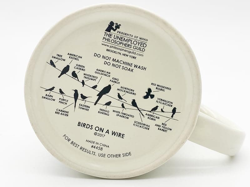 The Unemployed Philosophers Guild Birds on a Wire Heat Changing Mug - Add Coffee and Colorful Birds Appear, Comes in a Fun Box