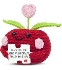 OASSIE Teacher Gifts for Women - Mini Handmade Positive Apple Crochet with Message Card - Teachers Day Christmas Birthday Graduation Appreciation Thank You School Gifts for Students Teachers Women