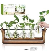 Unique Gardening Birthday Gifts for Women Plants Lovers, Home Office Garden Decor Planter - 3 Bulb Glass Vases Renmxj Plant Propagation Station, Plant Terrarium with Wooden Stand B096VDR4TM