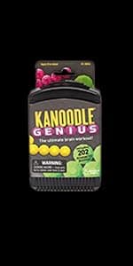 Educational Insights Kanoodle - Original 3D Brain Teaser Puzzle, Single Player Mind Challenge Toys, Handheld Travel Games, Challenging Logic Puzzles and Gifts for Kids, Teens & Adults Ages 7+