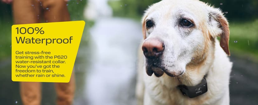 PetSpy Shock Collar for Dogs-Waterproof Dog Shock Collar with Remote Control,Vibration,Electric Shock,Beep-E Collar for Dogs Training,Collar with Remote for 10-140 LBS