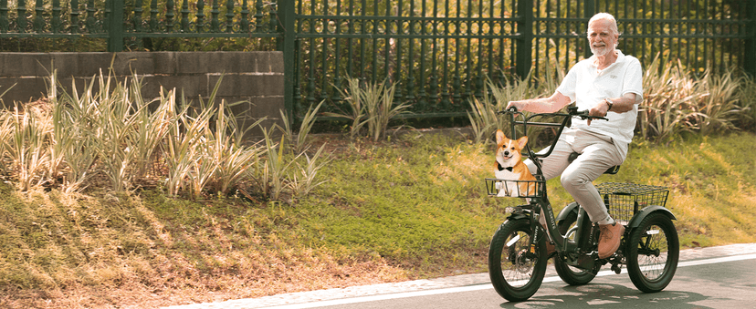 T300 Adults Electric Trike Bike, 1200W Peak Motor & 624Wh Removable Battery,18x3.0 Fat Tire Foldable 3-Wheel E-Bike with Step-Thru Design, Up to 65 Miles, Gift for Parents