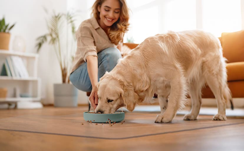 Office Chair Mat for Hard Floors,36"x48" Desk Mat for Chair for Hardwood Floor,Non-Slip Hard Floor Protector Desk Chair Mat for Home,Vinyl Floor Mat for Kids & Pets - Not for Carpet (Clear)