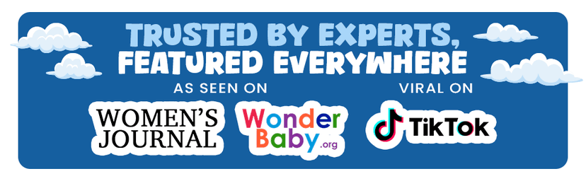 You Will Rock As a Dad!: The Expert Guide to First-Time Pregnancy and Everything New Fathers Need to Know