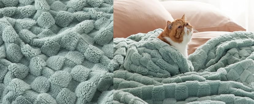 Bedsure Sage Green Throw Blanket for Couch - Checkered Fleece Blankets Gifts for Women Men Girls, Cute Soft Cozy Throw for Bedroom Home Decor Gifts, 50x60 Inches