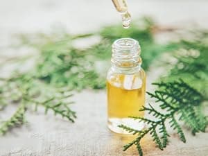 NICOLEKAY Mink Oil for Leather Boots, Leather Conditioner and Cleaner 3.52 oz-All-Natural Waterproof Soften and Restore Shoes