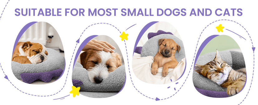 for Better Sleep, Reduces Anxiety, Gift for Small/Medium/Large Dogs and Cats HiPetpy Dog Calming Pillow-Soft Neck Pillow for Dogs, Washable Sleep Pillow B0DSW42LFY