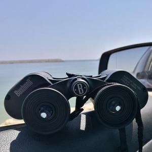 Bushnell PowerView 10x50mm Porro Prism Instafocus Binoculars – Realtree AP Camo, Ideal for Hunting, Birding, Hiking & Outdoor Adventures