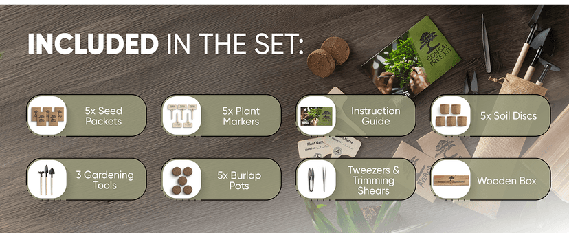 Bonsai Tree Kit for Beginners – 5X Unique Japanese Bonzai Trees | Complete Indoor Starter Kit for Growing Bonsai Plants with Tools & Planters – Gardening Gifts for Women & Men