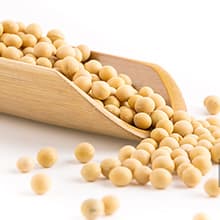 Valentines Galentines Day Gifts for Her Birthday Gifts for Women Friend Wife Girlfriend Girls Romantic Naughty Gift for Her Tin Soy Candles Unique Ideas 9oz Scented Candles