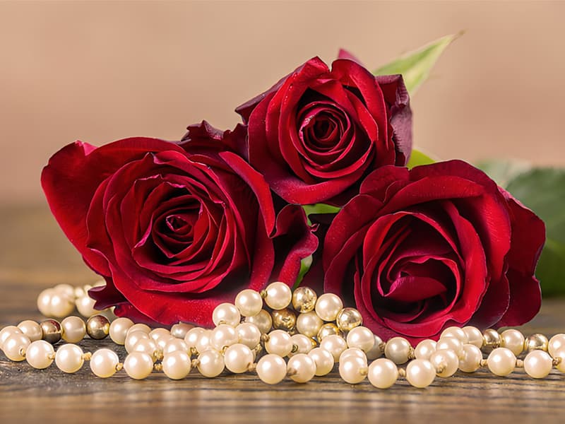 lovenfold Flowers for Delivery,Preserved Flowers Bouquets,Purple Rose Bouquets That Last 1-3 Years,Birthday Flowers Gifts for Women Mom Grandma Wife Friends