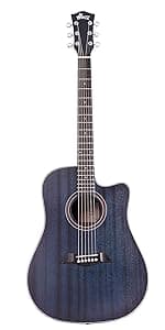 WINZZ AF227A 39 Inches Concert Acoustic Acustica Guitar with Full Kit, Delicate Vine