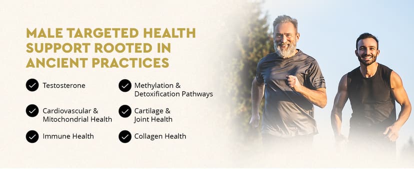 Ancestral Supplements Ancestral Supplements Mofo, Supplements for Men, Support for Energy Levels and Overall Men's Health and Wellness, Non-GMO Grass Fed Beef Organ Supplement with Liver, No Fillers, 180 Capsules