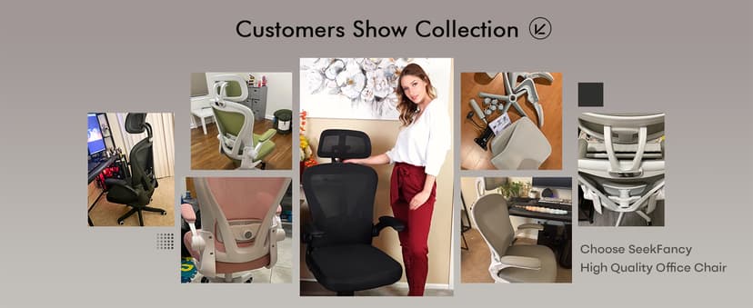 SeekFancy Ergonomic Office Chair M903, Computer Desk Chair with Wheels, High Back Mesh Office Chair with Adjustable Lumbar Support, Headrest, Flip-Up Armrests, White Grey