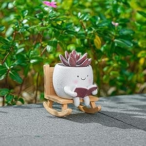 Rocking Chair Smiley Face Planter,Cute Plant Pots for Indoor Outdoor Plants,Succulent Pots with Drainage Hole,Unique Funny Flower Pot for Succulents,Plant Gifts for Mother's Day, Birthday, Christmas B0F59W5CR2