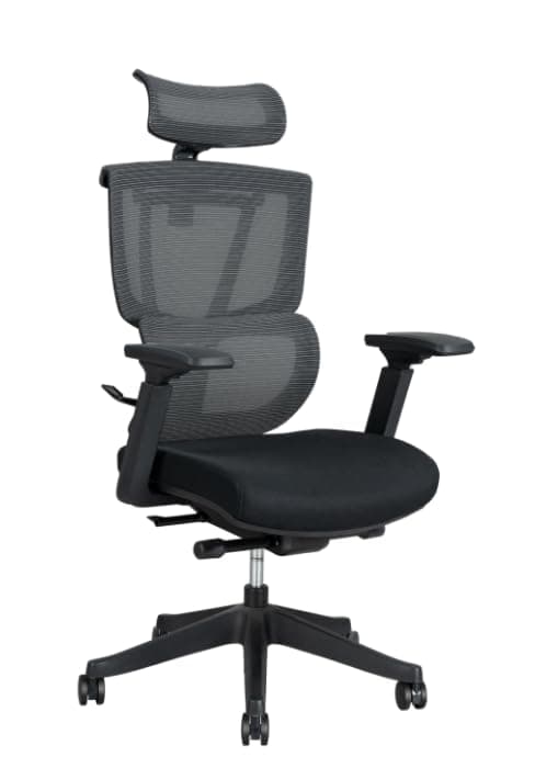 FLEXISPOT ErgoX Premium Ergonomic Office Chair with Footrest - Adjustable 3D Armrests, Dynamic Lumbar Support, Recline & Tilt Function, Mesh Seat, for Home & Office Use, Black