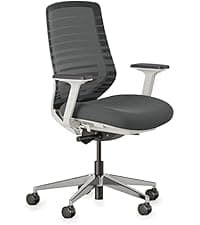 Branch Ergonomic Chair Pro - Mesh Office Chair with 14 Points of Adjustment - Height, Depth & Tilt Adjustable - 5D Armrests - Forward Tilt, Smooth Recline, and Lumbar Support - Black