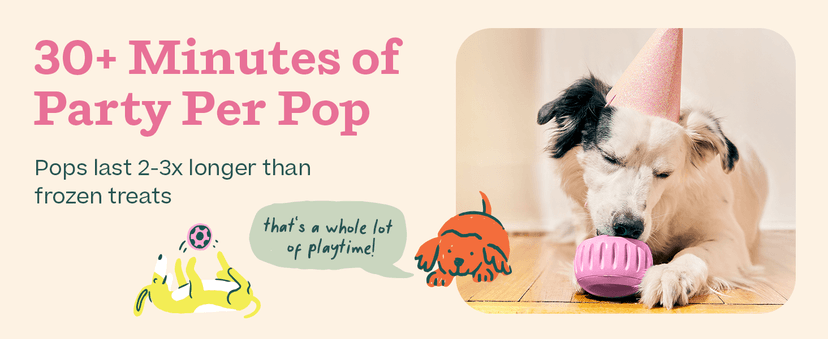 WOOF Pupsicle Birthday Pops - Healthy Dog Treats - Pre-Made Pupsicle Refills - Wholesome Ingredients - Naturally Sweet - Cake-Flavored Birthday Treat for Dogs - XL