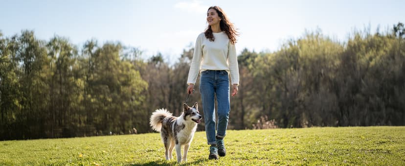 NORTIV 8 Women's Waterproof Hiking Boots Outdoor Trekking Camping Trail Hiking Boot Seeker