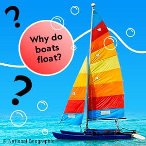 National Geographic Little Kids First Big Book of Why: Questions and Answers About the World for Curious Kids 1426307934
