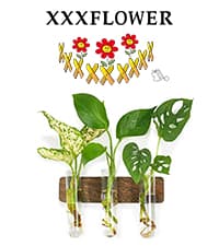 XXXFLOWER Plant Terrarium with Wooden Stand, Air Planter Bulb Glass Vase Metal Swivel Holder Retro Tabletop for Hydroponics Home Garden Office Decoration - 3 Bulb Vase