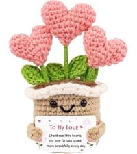 Crochet Birthday Gifts for Women – Inspirational Heart Planter Handmade Happy Birthday Gift for Women,Man,Mom, Sister, Best Friend, Coworker – Unique Gift Ideas for Her, Him, Birthday Decorations B0GWJBYTBJ