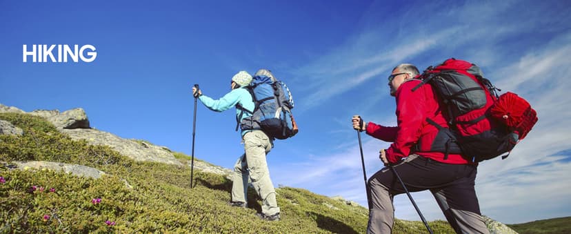 12x50 UHD Binoculars for Adults High Powered with Upgraded Phone Adapter - Large View, Lightweight, IPX7 Waterproof - Binoculars for Hunting Bird Watching Travel Cruise