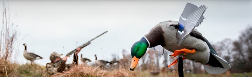 Avian-X Powerflight Smart Motion Mallard Spinning Wing Duck Decoy, Ideal for Hunting, Outdoor, Wasp, Deer, Bee Deterrent, Fake Call, Animal Scare