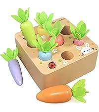 Toddlers Montessori Wooden Educational Toys for Baby Boys Girls Age 1 2 3 Year Old, Shape Sorting Toys 1st One First Birthday Girl Gifts for Kids 1-3, Wood Preschool Learning Fine Motor Skills Game