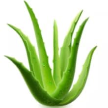 10 Pack Hand Cream for Dry Cracked Hands, Birthday Gifts for Women,Bridesmaid Gifts, Thank You Gifts, Teacher Appreciation Gifts, Natural Plant Fragrance Mini Hand Lotion Moisturizing Hand Care Cream