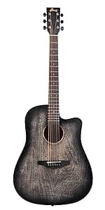 WINZZ AF227A 39 Inches Concert Acoustic Acustica Guitar with Full Kit, Delicate Vine