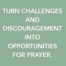 The Armor of God - Bible Study for Women with Video Access