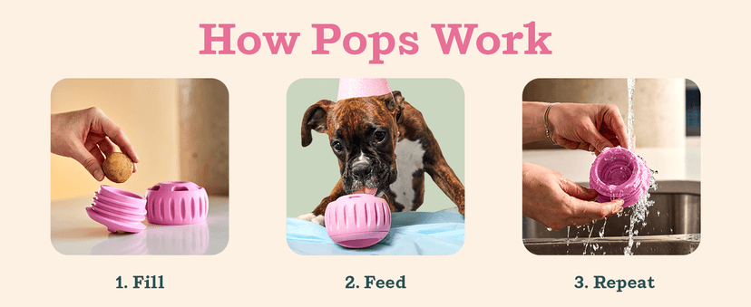 WOOF Pupsicle Birthday Pops - Healthy Dog Treats - Pre-Made Pupsicle Refills - Wholesome Ingredients - Naturally Sweet - Cake-Flavored Birthday Treat for Dogs - XL